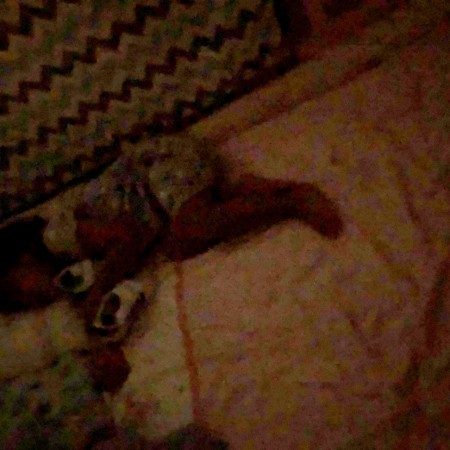 Uyutan Anne - Uyku Eğitmeni - Sera LÜLECİ